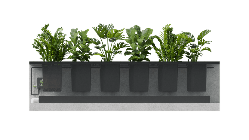 Flower Pot Basic - Detalhe 1
