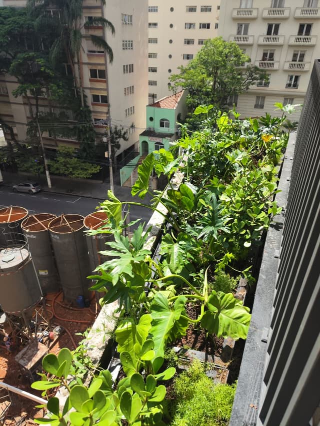 Floreira por gotejamento em fachada — Projeto PJM