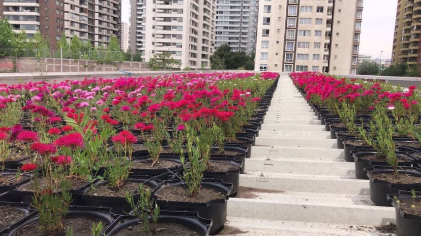 Sistema de irrigação Roofgreen