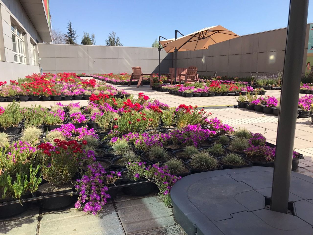 Jardim vertical Wallgreen Eco - Fachada verde corporativa