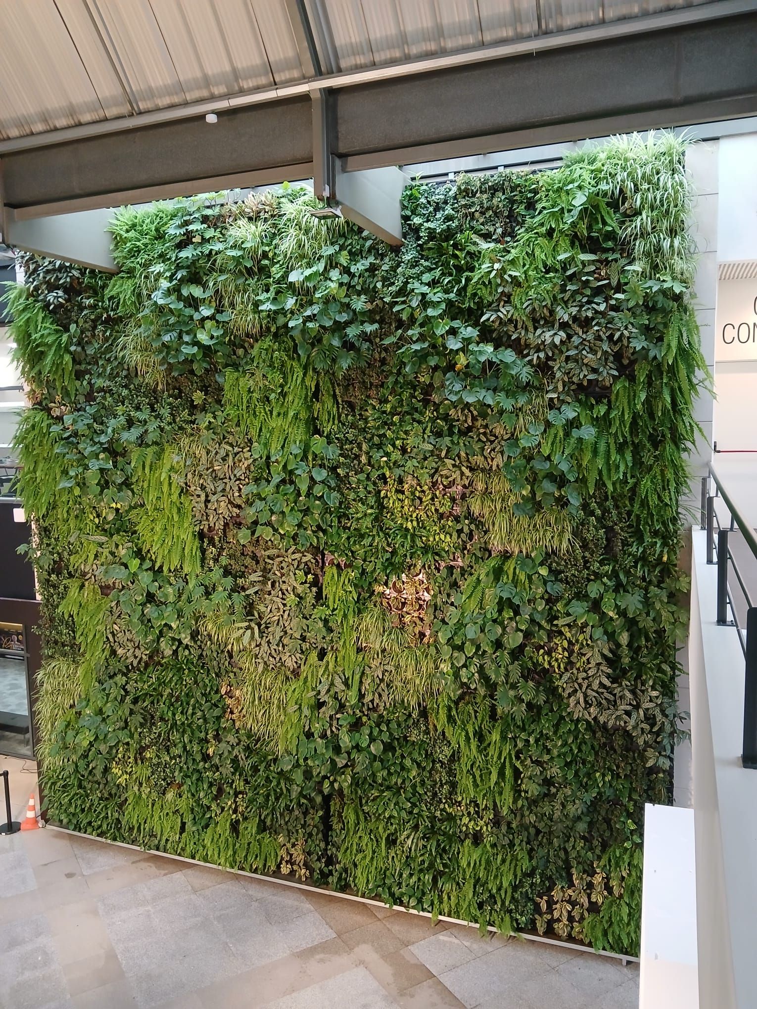 Jardim vertical Wallgreen Eco - Projeto residencial em São Paulo