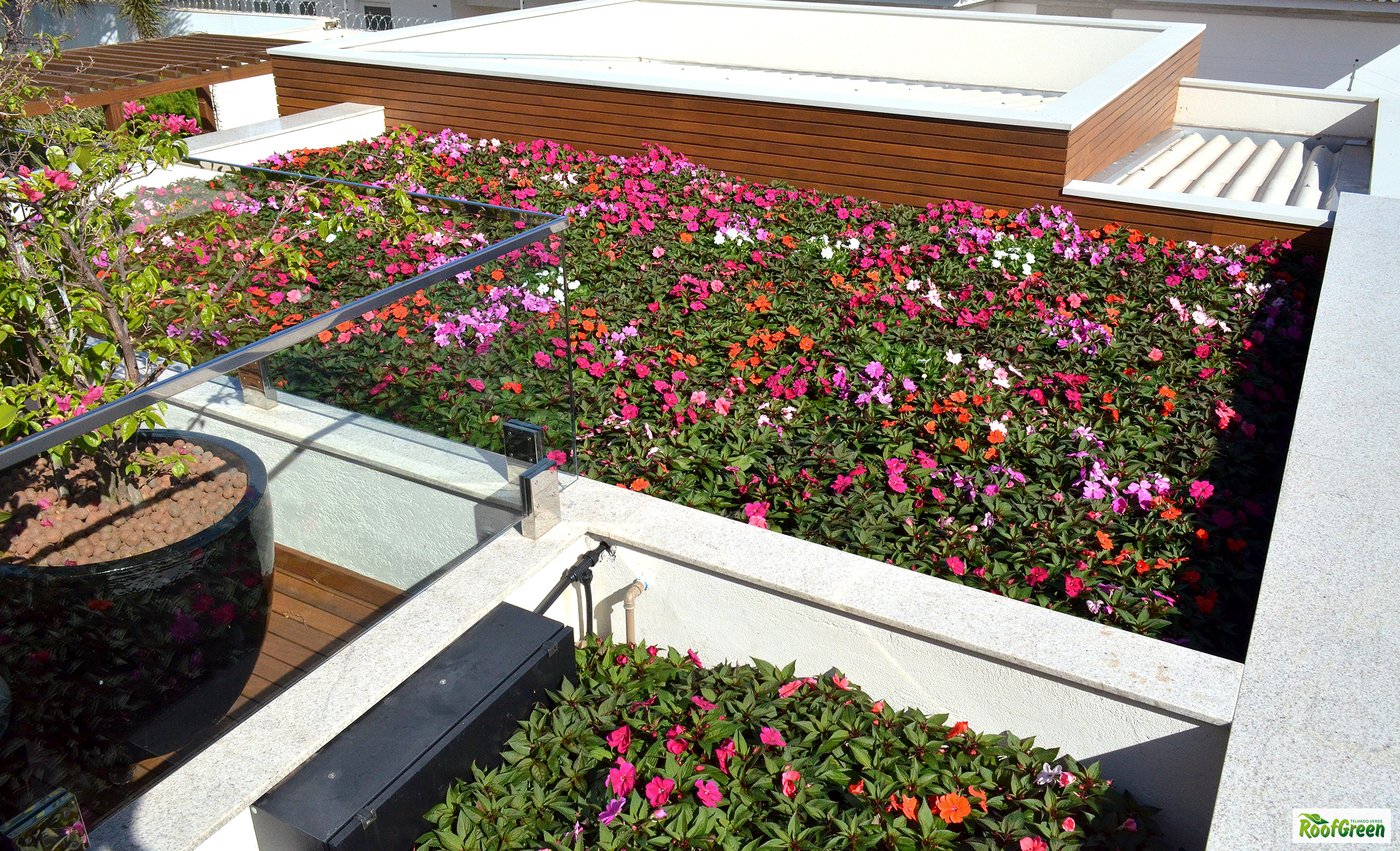 Telhado Verde RoofGreen em residência em Maringá/PR